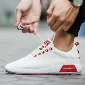 Primavera y otoño, nuevos zapatos casuales coreanos para hombres,