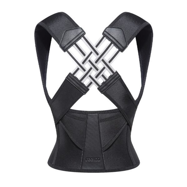 Essential Haven- Back Support Belt -Fix Posture & Relieve Pain Naturally