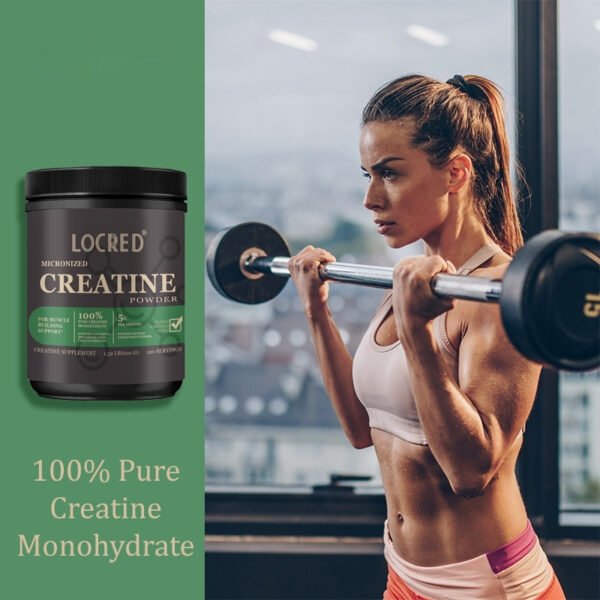 d31a8c27-d38b-4a20-8cae-2accceb3c574_fine.jpeg Creatine Powder Supplement